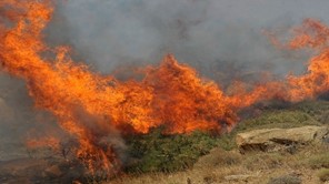 Υψηλός κίνδυνος πυρκαγιάς την Τρίτη στη Λάρισα – Σε ισχύ η απαγόρευση κυκλοφορίας σε δάση